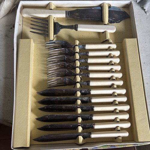 Vintage cased fish - vintage,