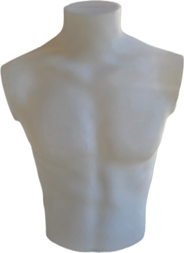 Male torso mannequin form - torso,