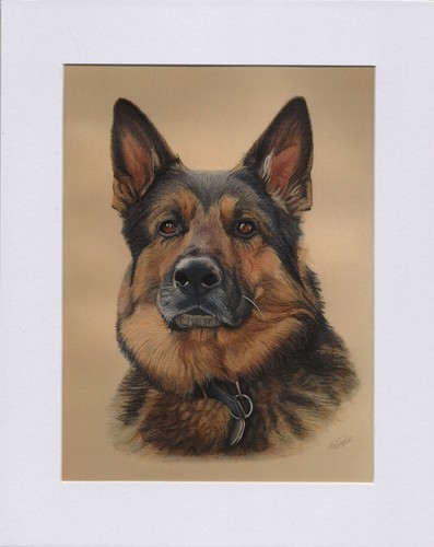 Custom pet dog - a5, cat,