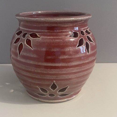 Kennedy ireland orchid - ireland, pot
