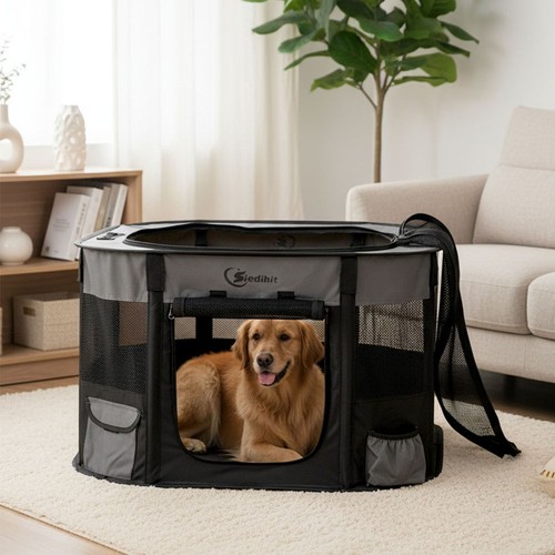 Collapsible folding cat - collapsible,