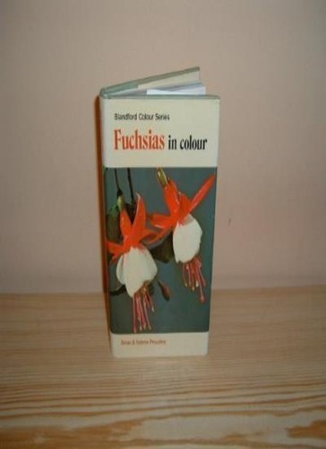 Fuchsias colour brian - fuchsias, in