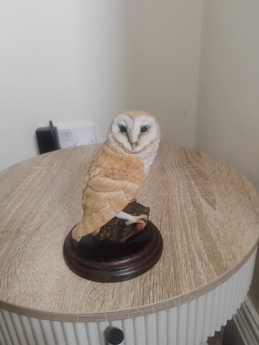 Country artists barn - artists, owl