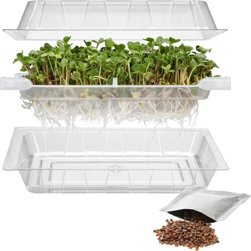 Seed sprouter tray - seed,