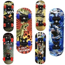 17" Small Skateboard Beginners