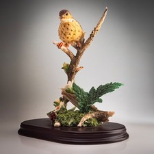 Leonardo Song Thrush Bird