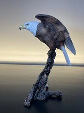 Rare Royal Worcester Bald