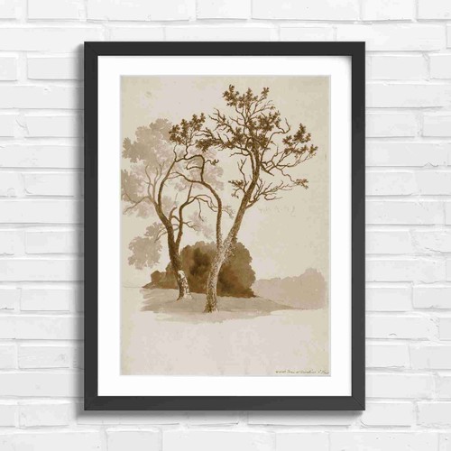 Orchard trees artistic drawing - artistic,