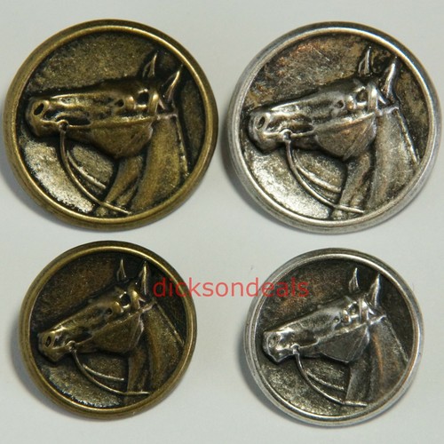 Horses head equestrian - horses,