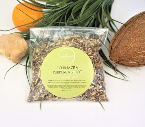 Echinacea purpurea root dried - echinacea,