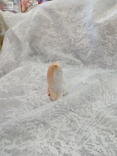 Cat Vintage White and Ginger