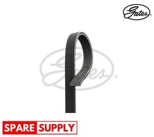 V-RIBBED BELTS FOR FORD FUSION
