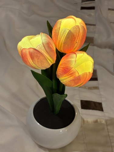 Decorative led tulip night - decorative,