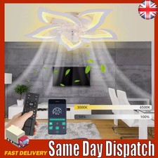 Large LED Ceiling Fan with