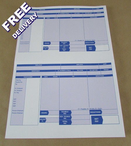 100 iris compatible payslips - compatible,
