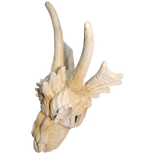 Resin dragon skull - fish, tank