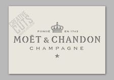 Champagne Stencil --- Spray, Paint and Brush ---- Premium Mylar