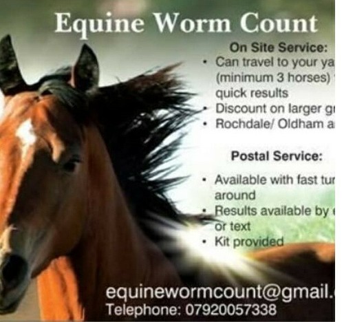 EQUINEWORMCOUNT