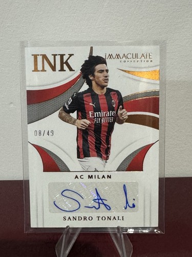 Immaculate collection sandro - collection,