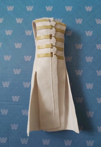 Wwe wrestling figure - figure, accessory
