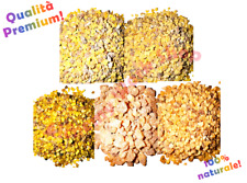 - 40g - 100g - LITURGICAL