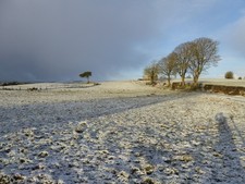 Photo 6x4 Carony Townland