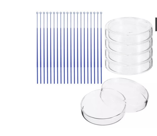 Glass petri dish 90mm x - glass,