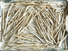 100 Driftwood Twig Pieces For