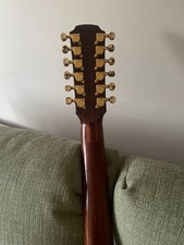 Avalon 12 string acoustic