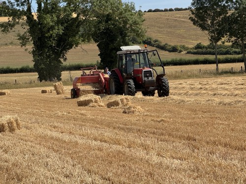 Spring barley straw 2026 - spring,