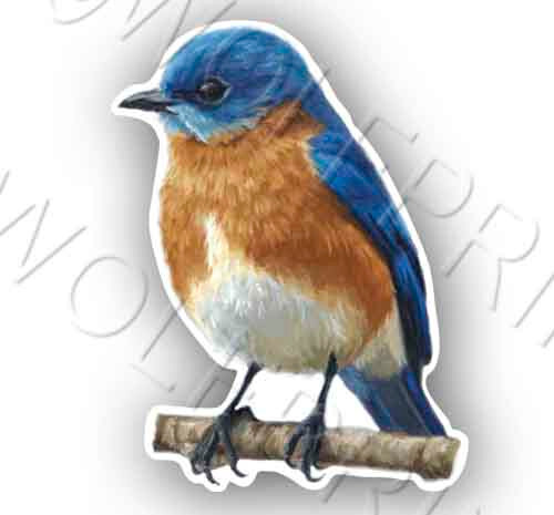 Bluebird tall sticker - 4.75",
