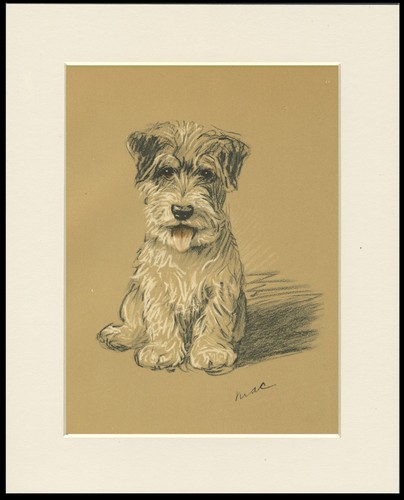 Jack russell terrier vintage - russell,
