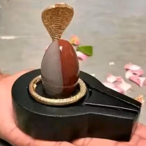 Narmadeshwar shivling small - narmadeshwar,