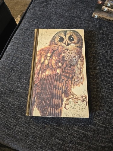 Book british birds - british,