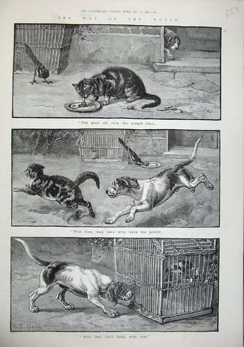 Original old antique print - old,