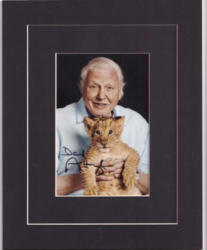 Sir david attenborough - david, signed