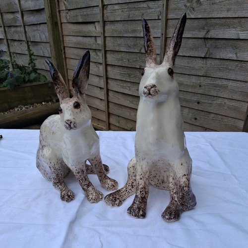 Pair winstanley arctic hare - pair,