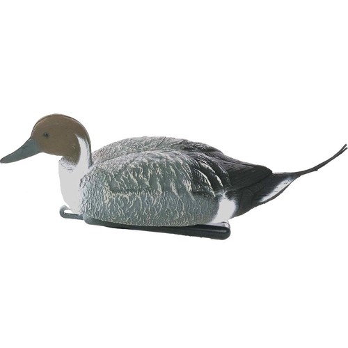 Sport plast pintail - sport,