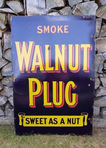 Walnut plug sweet a - walnut, as