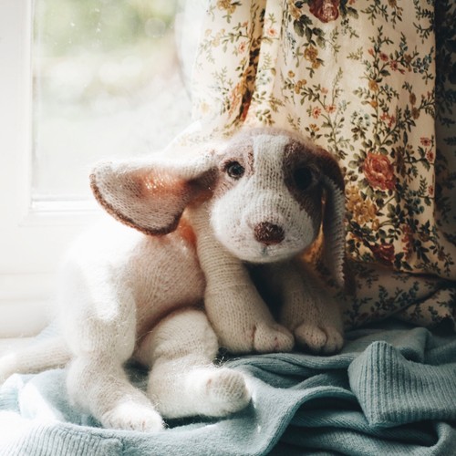Beagle puppy knitting kit - puppy,