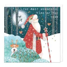 Whistlefish Hiding From Santa