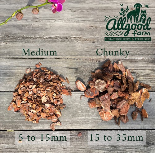 Premium british pine bark - pine, |