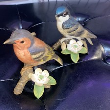 Pair Of Royal Chaffinch & Blue