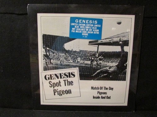 Genesis spot the - spot, pigeon