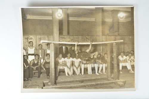 Gymnast parallel bars club - bars,
