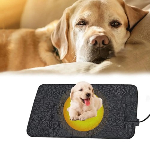 Pet reptile electric blanket - reptile,