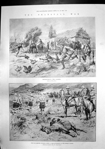 Old antique print redvers - old,