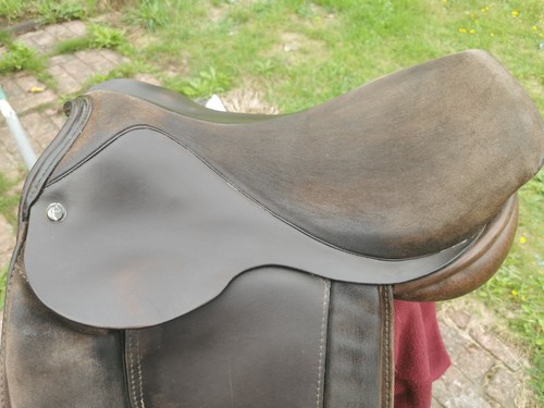 Pony cob horse - cob, &