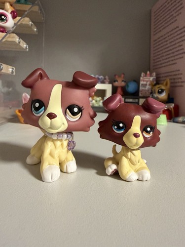Littlest pet shop custom - pet,