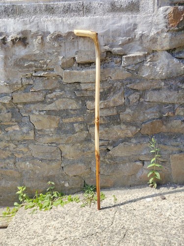 Welsh ash shillelagh crook - ash,